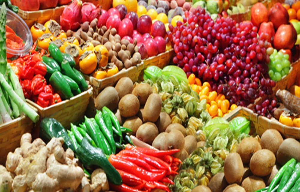 Ir para  <p>Os produtores que mant&ecirc;m espa&ccedil;os de comercializa&ccedil;&atilde;o de hortifrutigranjeiros na Ceasa ser&atilde;o orientados com maior intensidade sobre a utiliza&ccedil;&atilde;o correta de...
